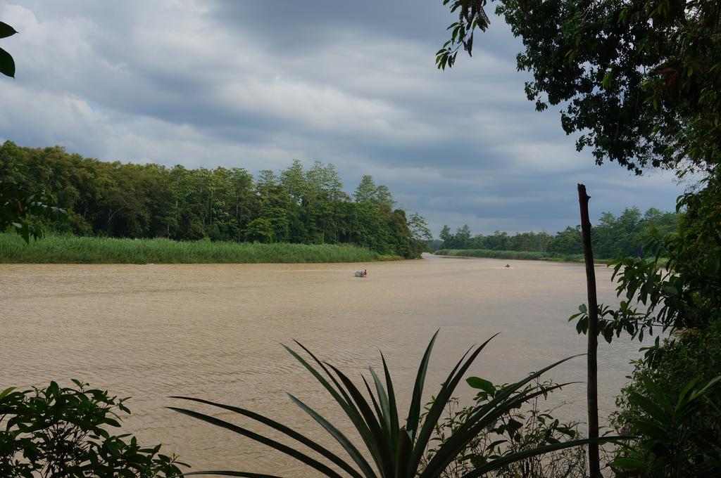 Borneo Natural Sukau Bilit Resort Exterior foto